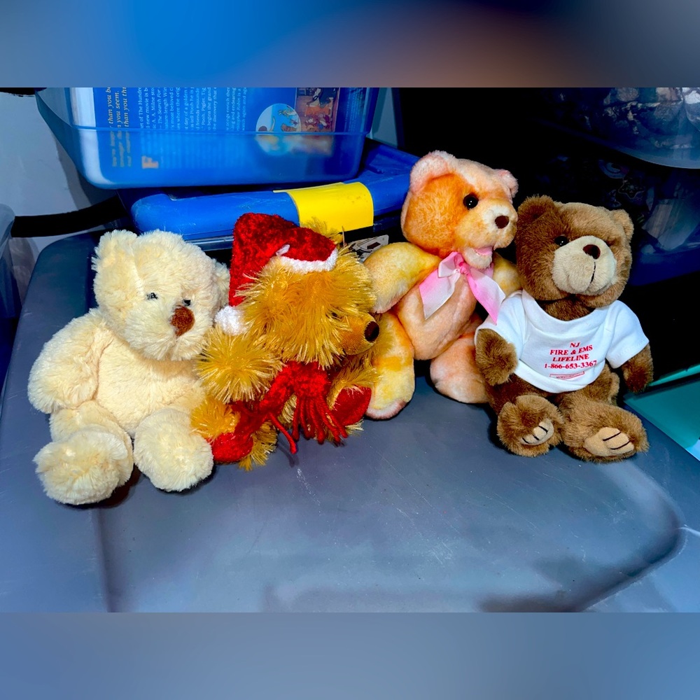 TEDDY BEAR BUNDLE